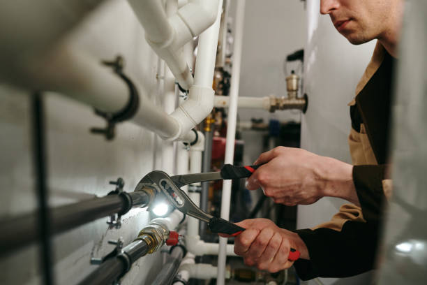 Best Water Leak Repair  in Luna Pier, MI