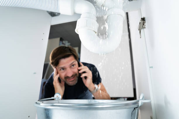 Best Hot Water Heater Installation  in Luna Pier, MI
