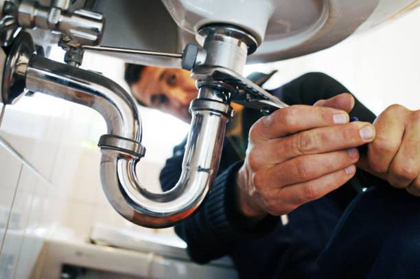 Best Best Plumbers Near Me  in Luna Pier, MI
