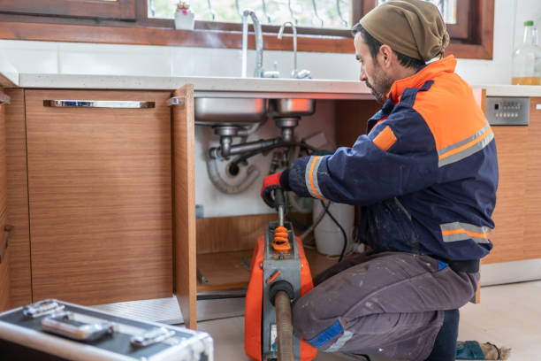 Trusted Luna Pier, MI Plumbing Experts