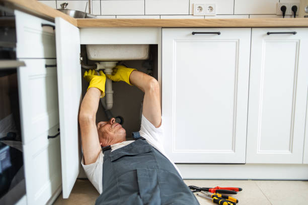 Best Commercial Plumbing Services  in Luna Pier, MI