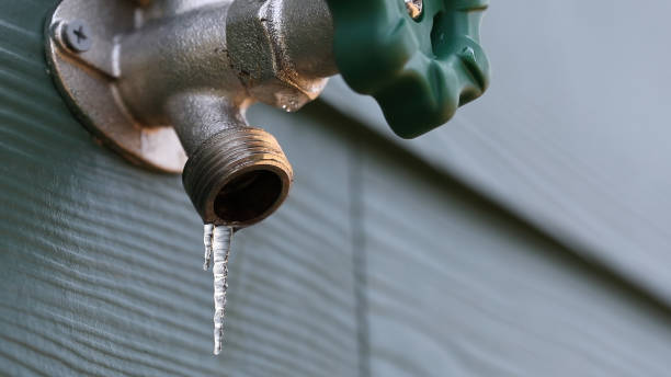 Best Plumbing Installation Services  in Luna Pier, MI