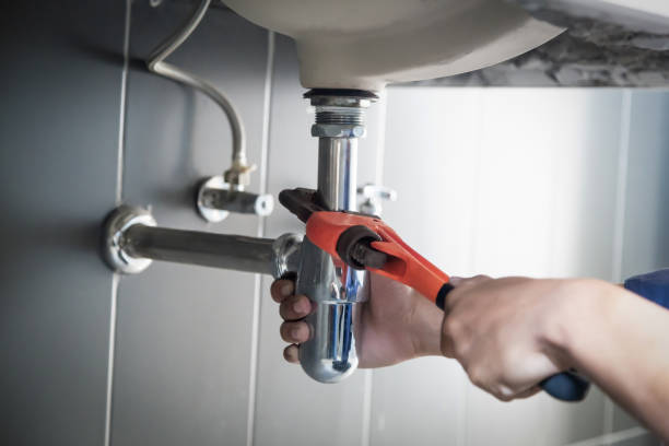 Best Same-Day Plumbing Service  in Luna Pier, MI